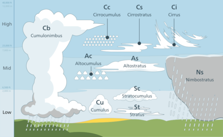 Meteogalerie Amateur Stormchasing Society
